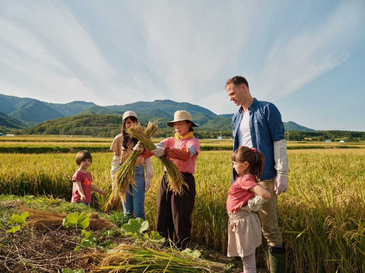 hokkaido privare tour